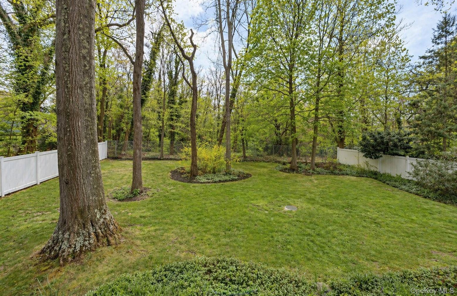 6 Huyler Road Setauket, NY 11733 - Photo 26 of 27 a view of a tree in a yard