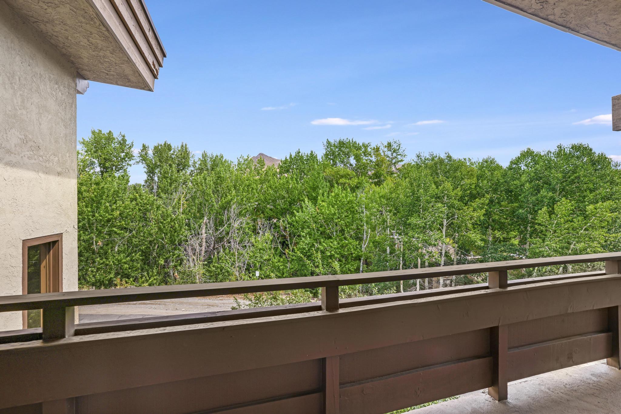 351 2nd Avenue South, Unit 711 Ketchum, ID 83340 - Photo 14 of 17 View From Front Door