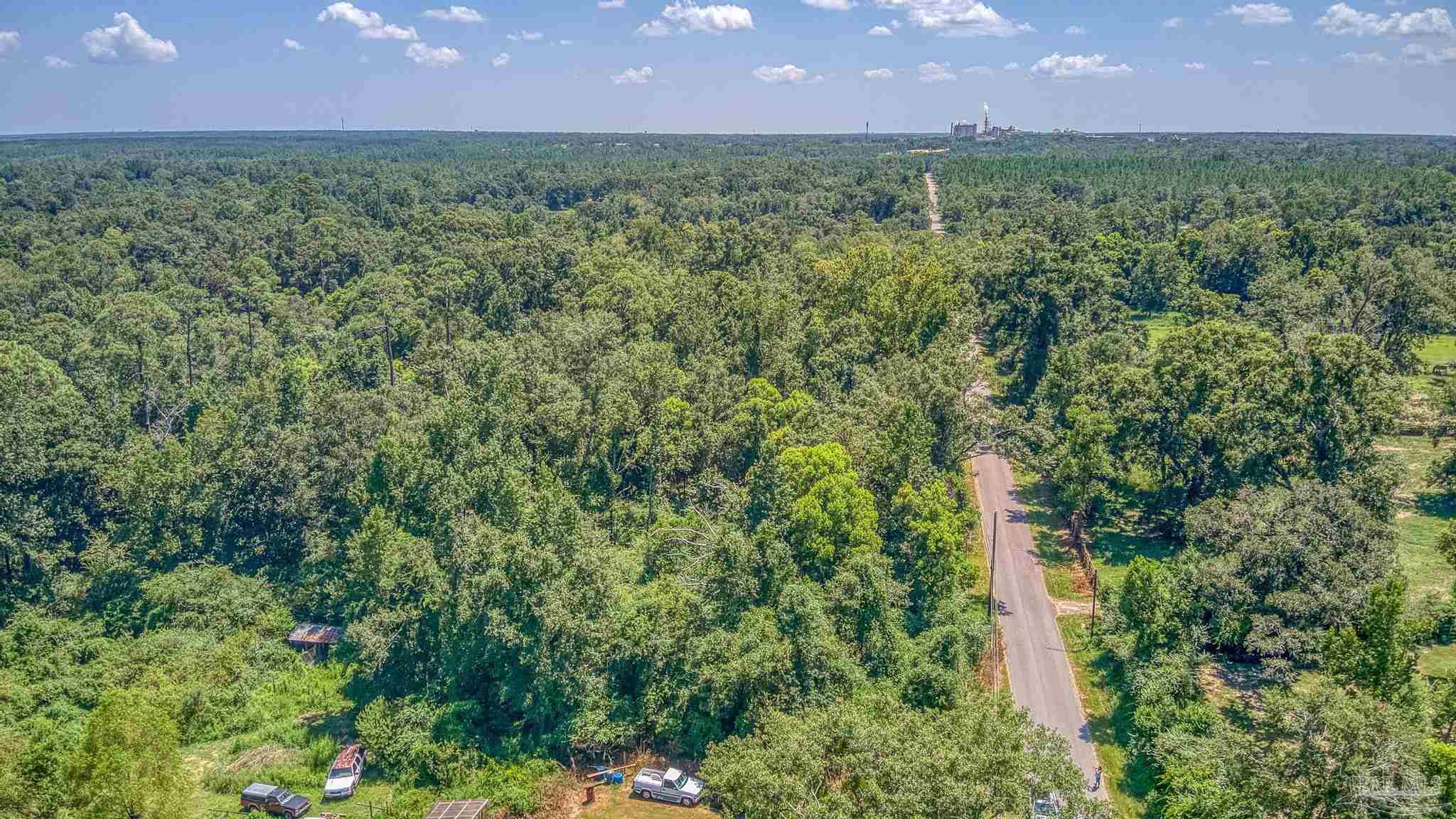 1370 Virecent Road Cantonment, FL 32533 - Photo 5 of 24