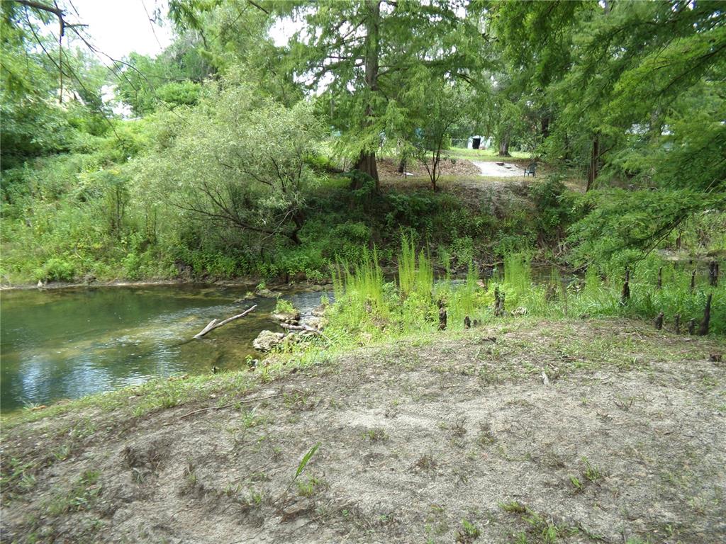 33068 Round Table Road Dade City, FL 33523 - Photo 67 of 82 a backyard of a house with lots of green space and lake view