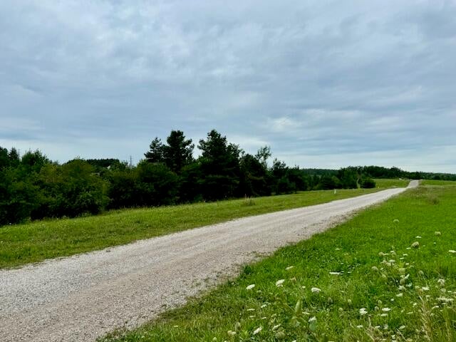 Lot 4 Mograin Cheboygan, MI 49721 - Photo 22 of 24 Private Road 2