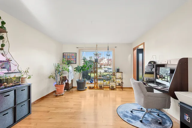a living room with furniture a dining table and a potted plant