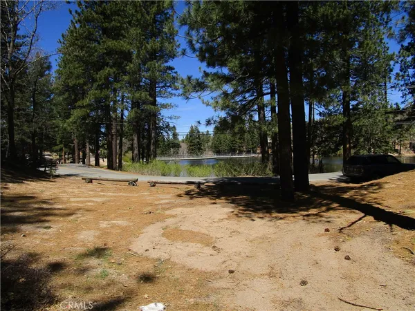 a view of outdoor space with trees