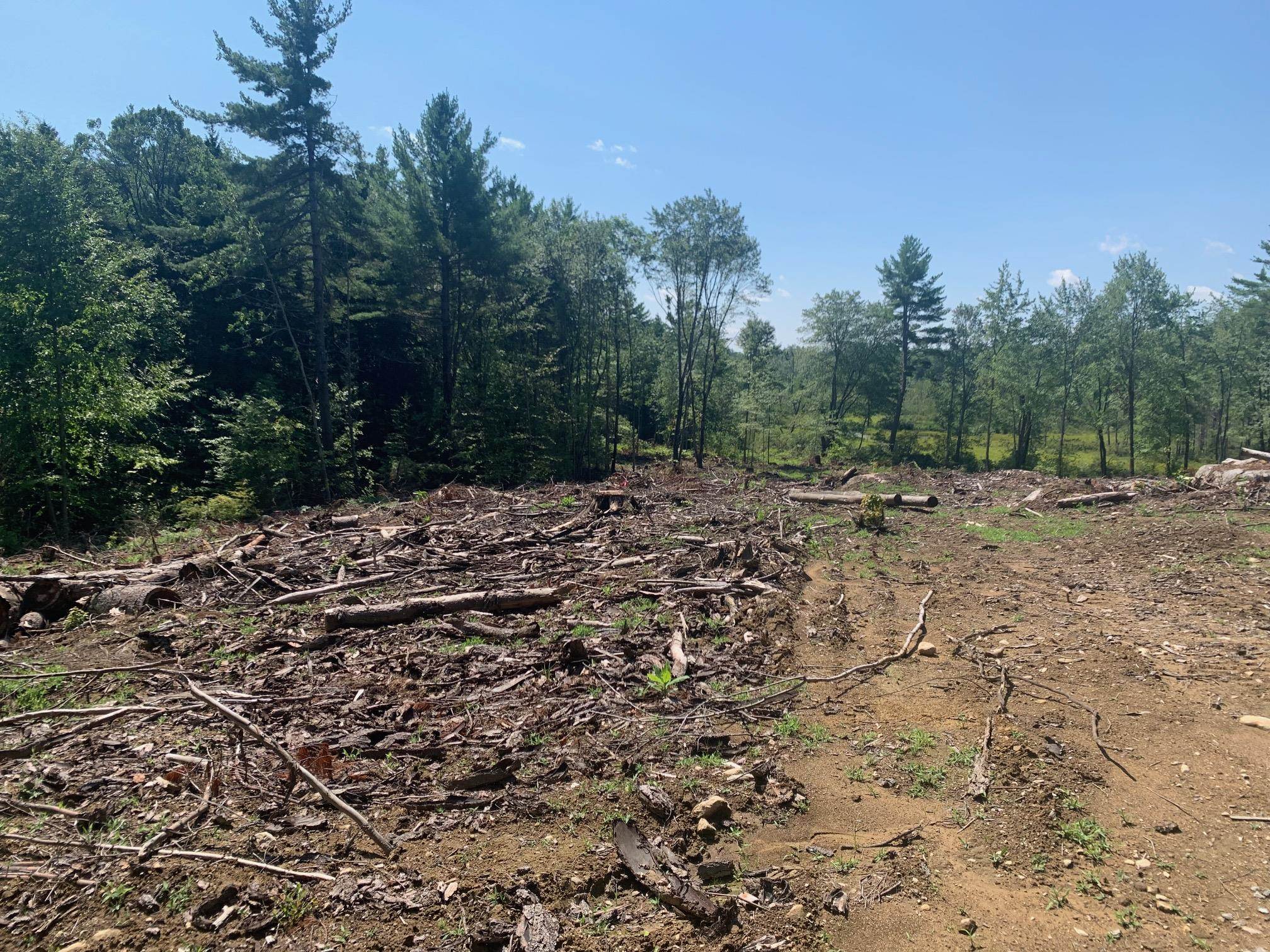 50 Mulhall Farm Road Antrim, NH 03440 - Photo 3 of 9