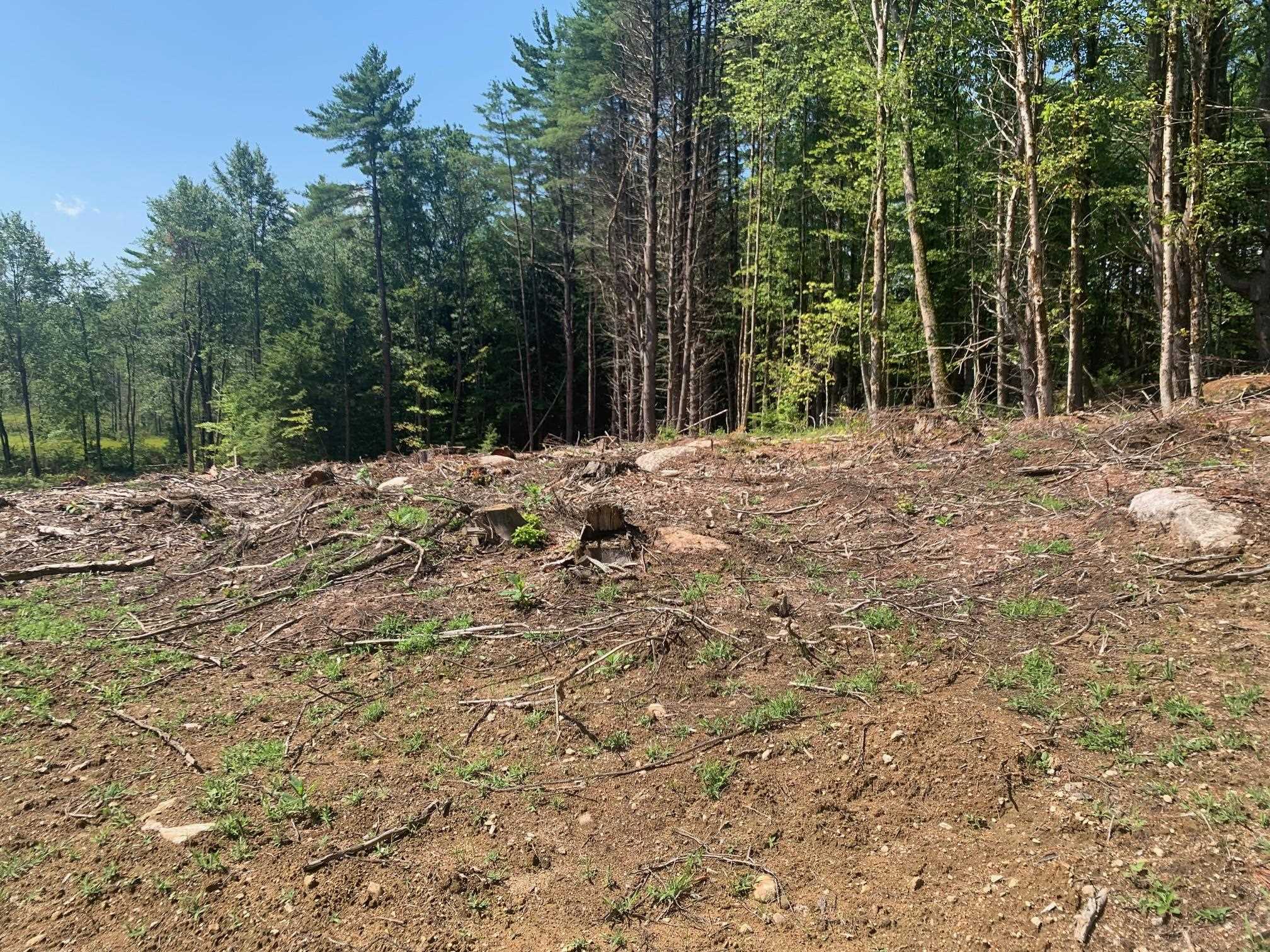 50 Mulhall Farm Road Antrim, NH 03440 - Photo 4 of 9