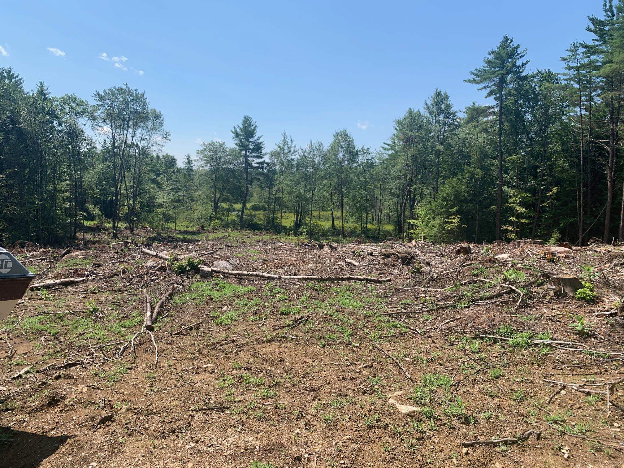 50 Mulhall Farm Road Antrim, NH 03440 - Photo 5 of 9