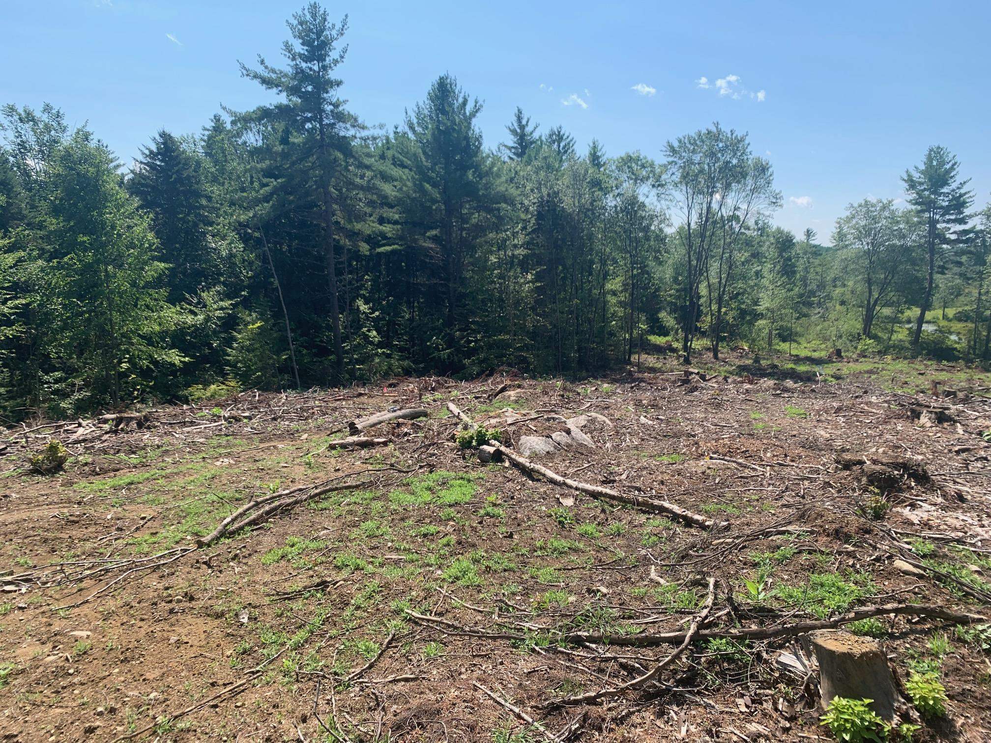 50 Mulhall Farm Road Antrim, NH 03440 - Photo 6 of 9