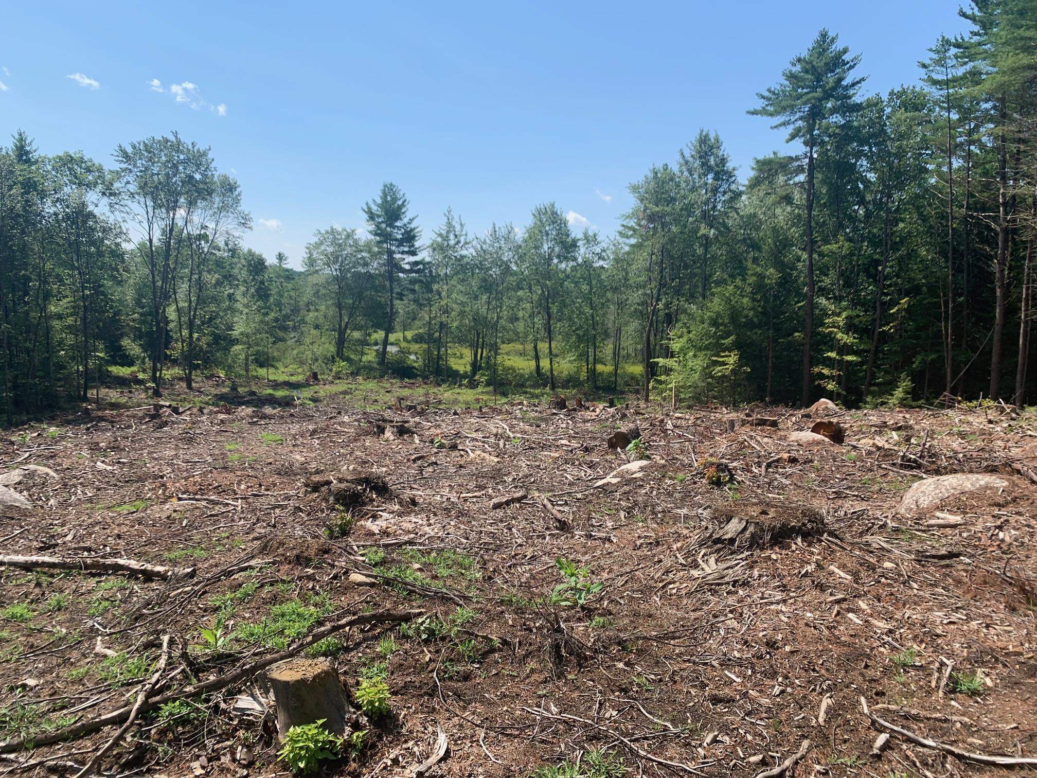 50 Mulhall Farm Road Antrim, NH 03440 - Photo 7 of 9