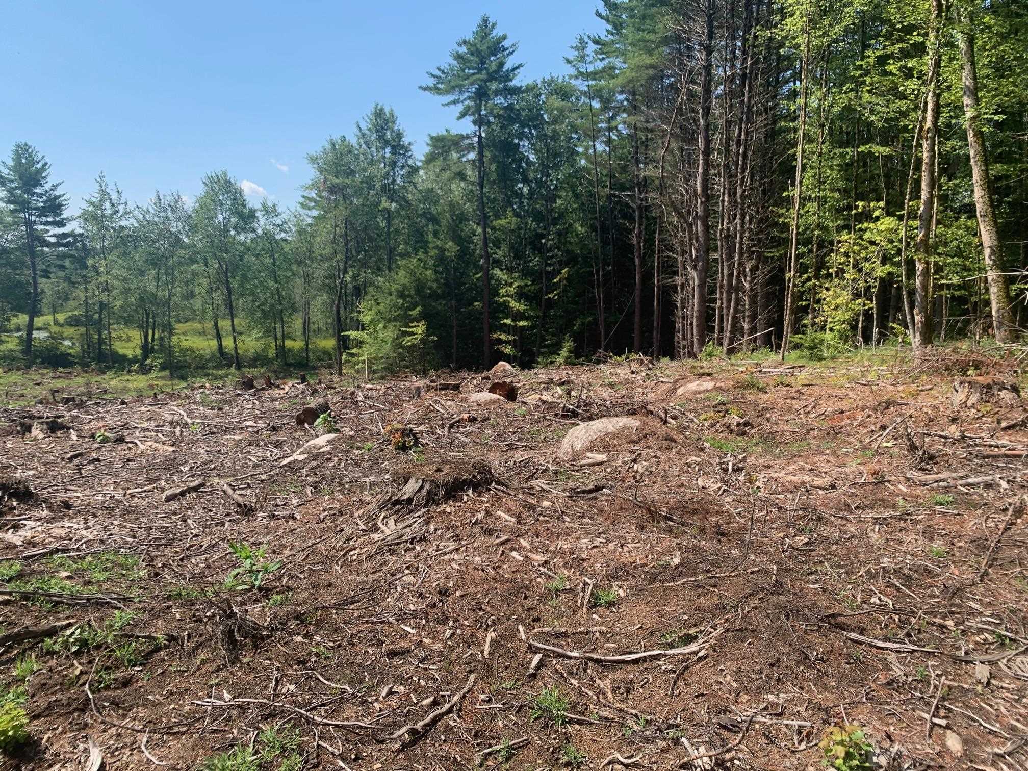 50 Mulhall Farm Road Antrim, NH 03440 - Photo 8 of 9