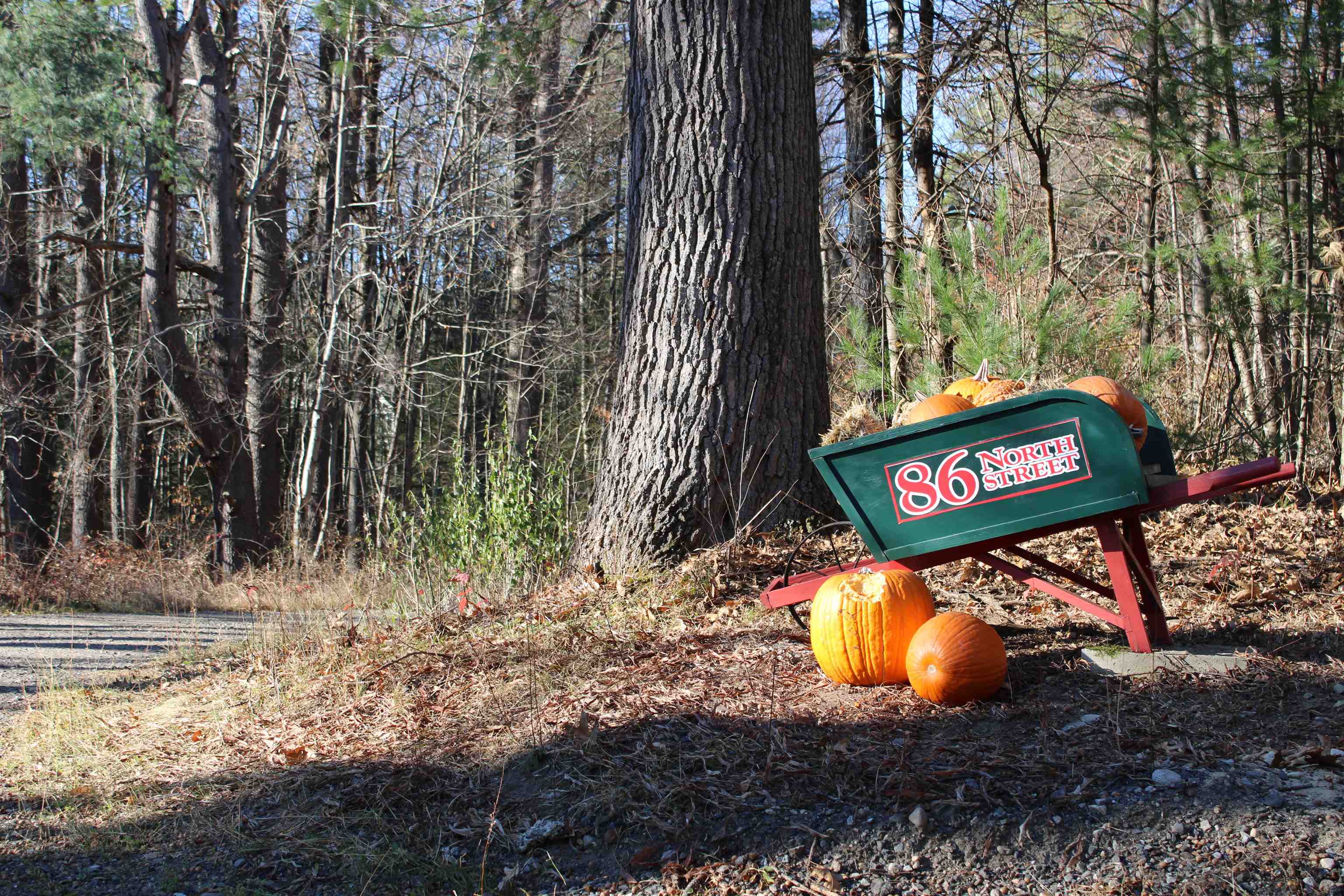 86 North Street Amherst, NH 03031 - Photo 42 of 42