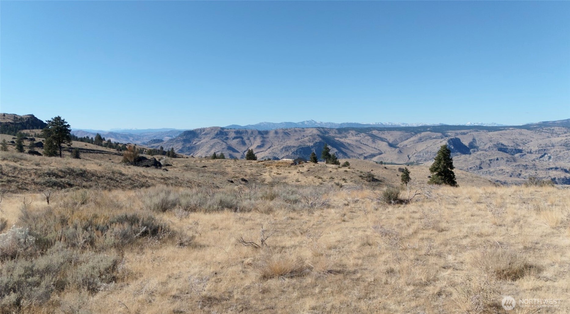 54 Wolf Holler Road Waterville, WA 98858 - Photo 4 of 14