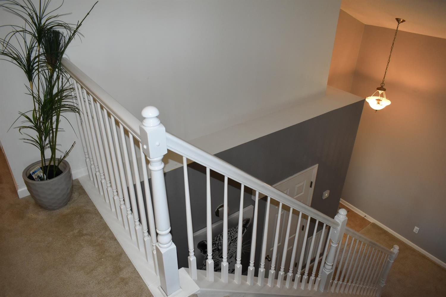 705 Cielo Vista Road Lexington, KY 40511 - Photo 24 of 50 Photo 24