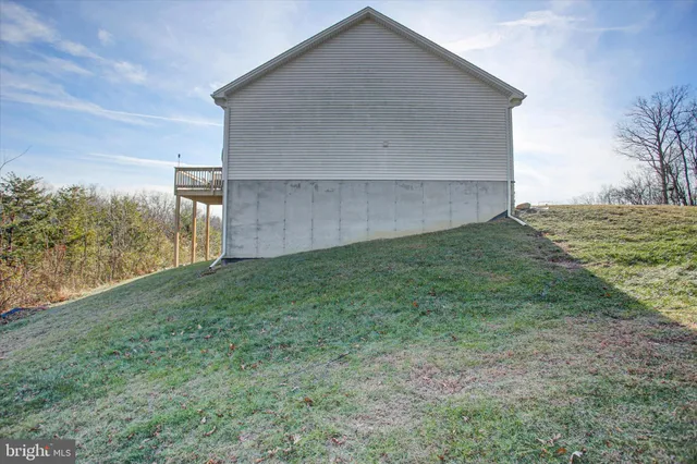 a view of a forest with mountains in the background