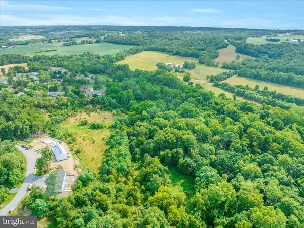 a view of a lush green forest