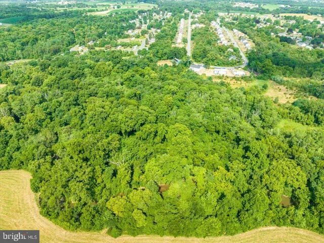 a view of an outdoor space and a yard