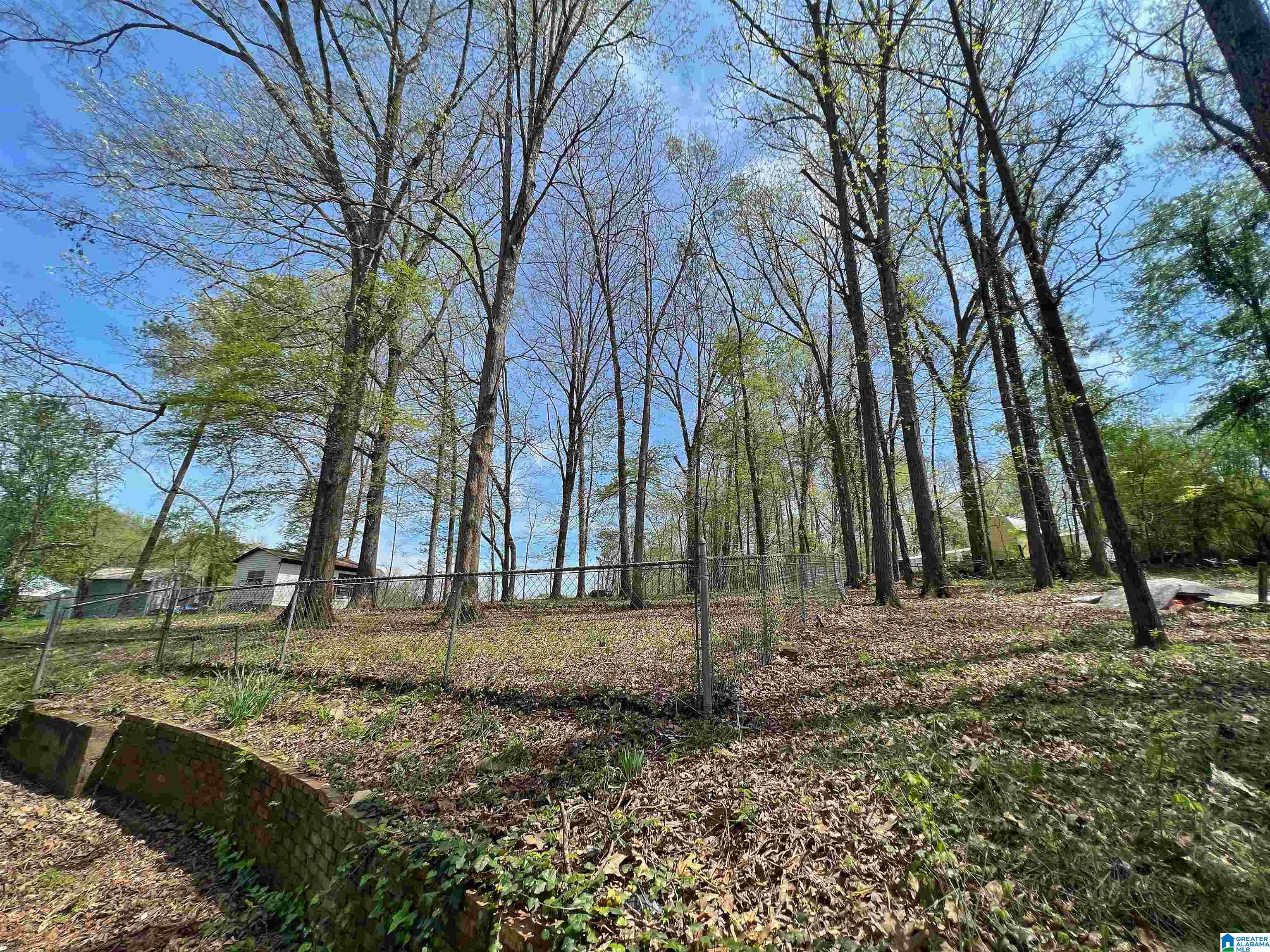 1444 Beck Road Eastaboga, AL 36260 - Photo 22 of 23