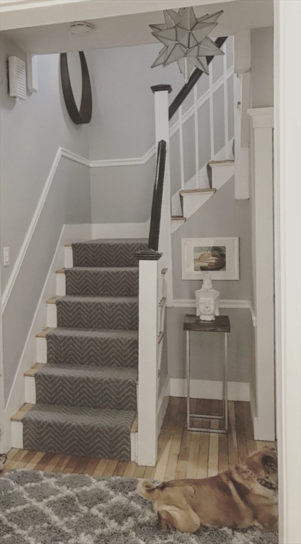 16 Evans Road Needham, MA 02492 - Photo 11 of 23 a view of entryway and hall