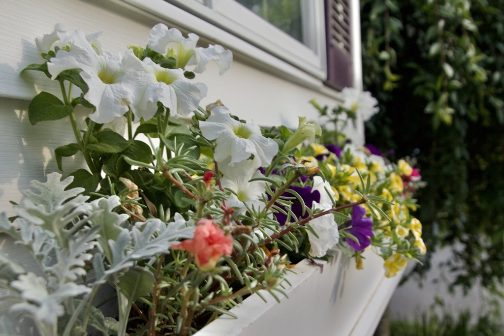 16 Evans Road Needham, MA 02492 - Photo 19 of 23