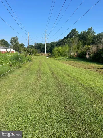 a view of a field of grass and trees