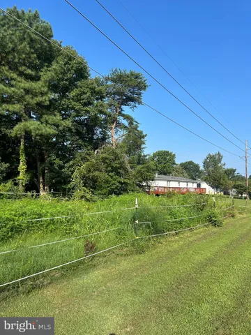 a view of a lush green field