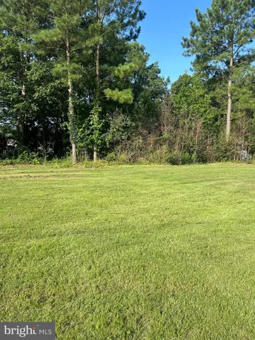 a view of a field with an trees