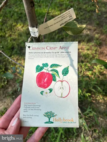 a view of a wooden door