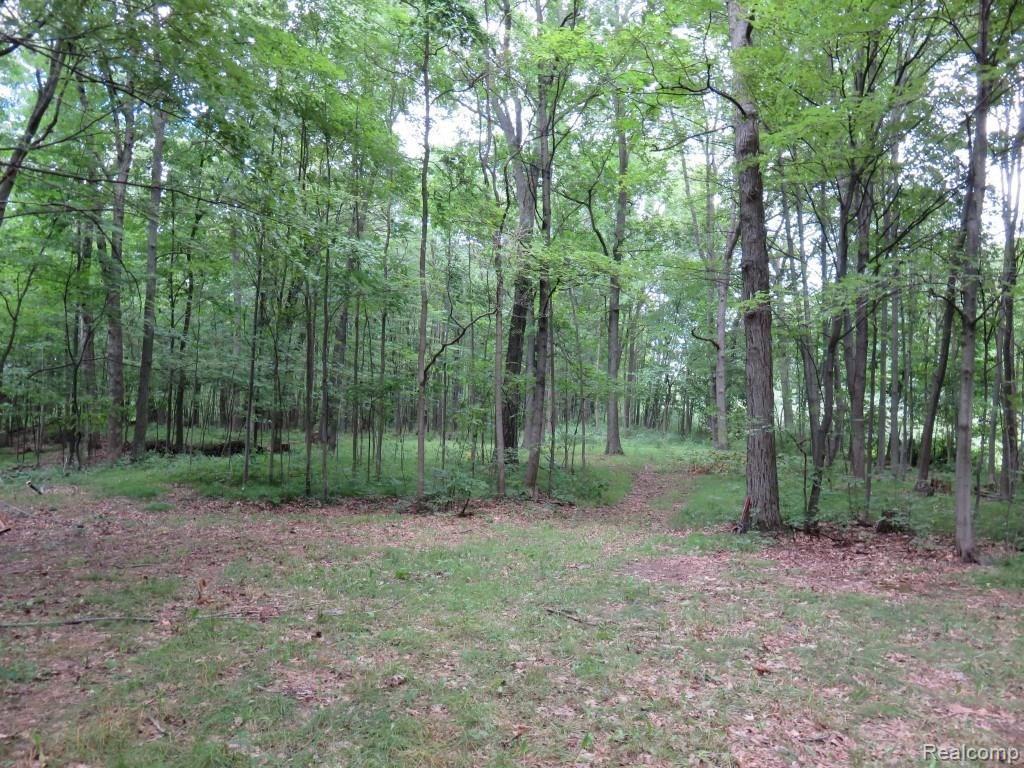 2673 Brighton Road Howell, MI 48843 - Photo 56 of 62 IMG_2660 (Custom).JPG