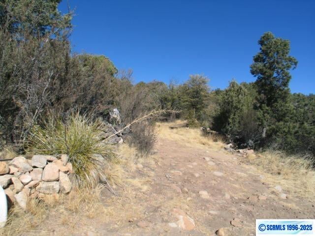 9 Radio Tower Road Silver City, NM 88053 - Photo 13 of 30 Gallery Image 13