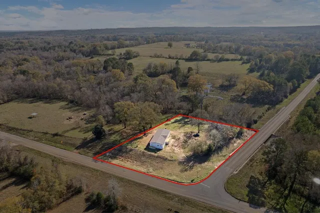 a view of a forest with a yard