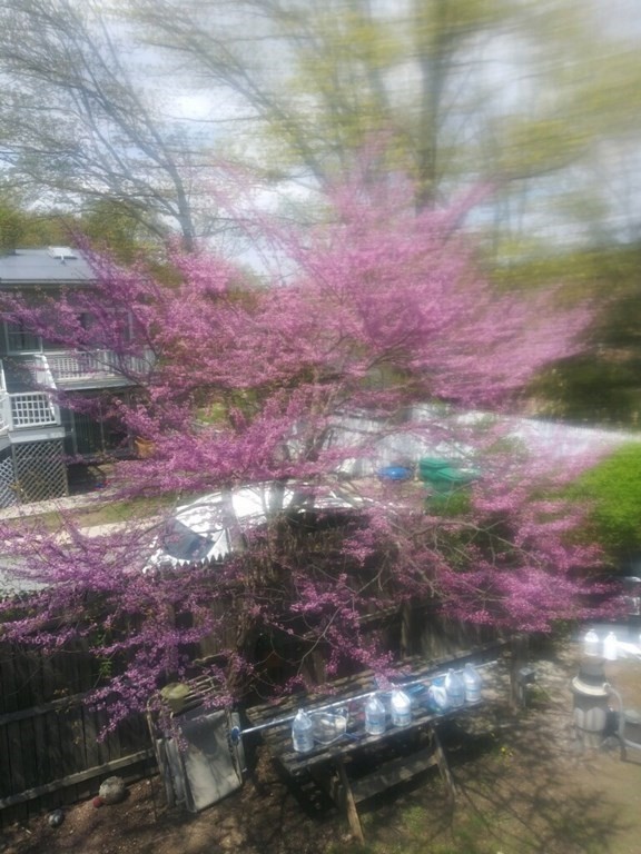 44-46 Catalina Road Lynn, MA 01905 - Photo 5 of 28