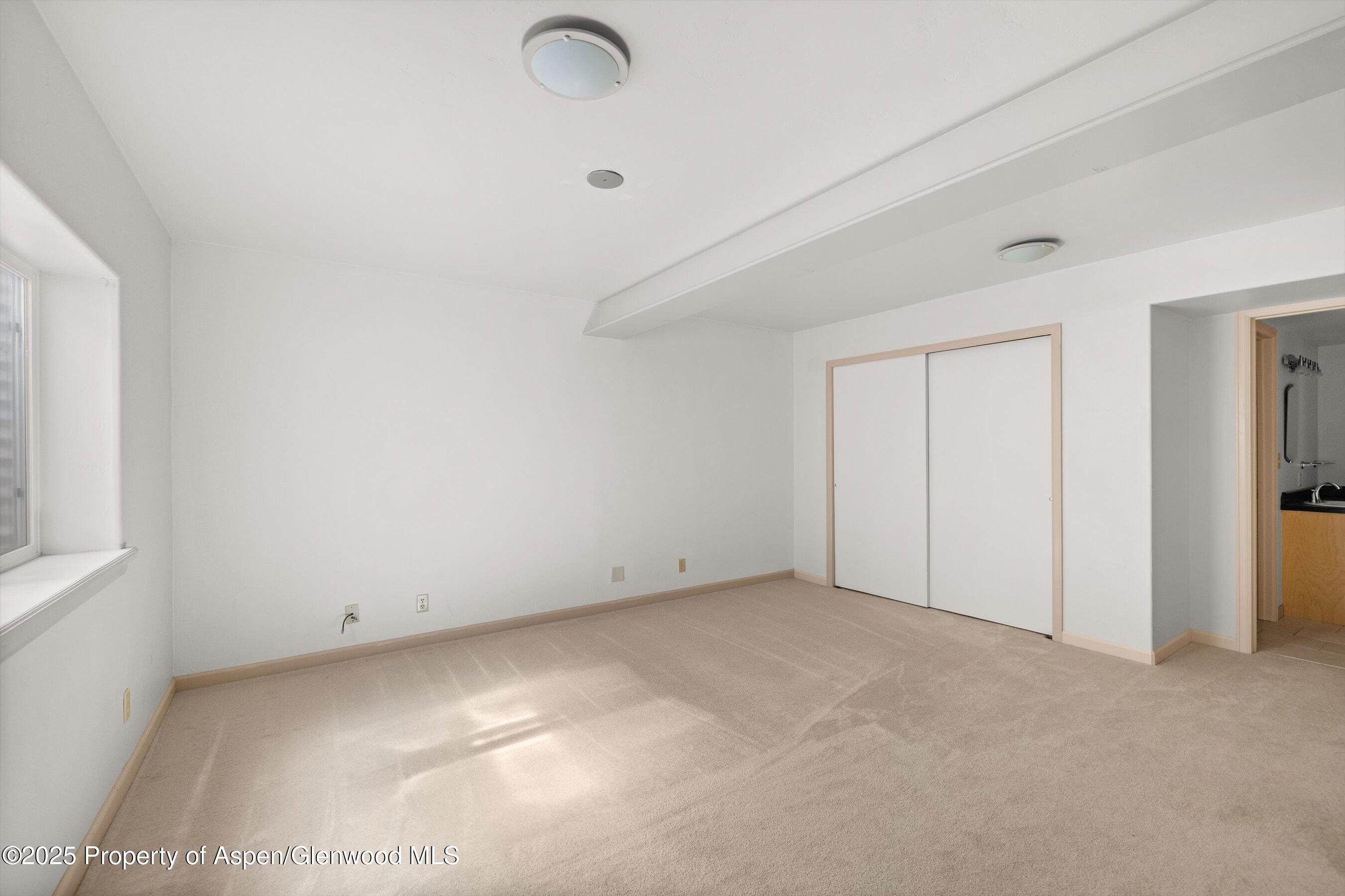 331 Holland Hills Road, Unit 2 Basalt, CO 81621 - Photo 11 of 13 Downstairs Bedroom