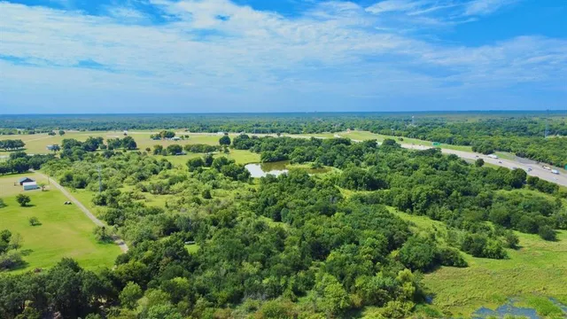 view of a garden with plants
