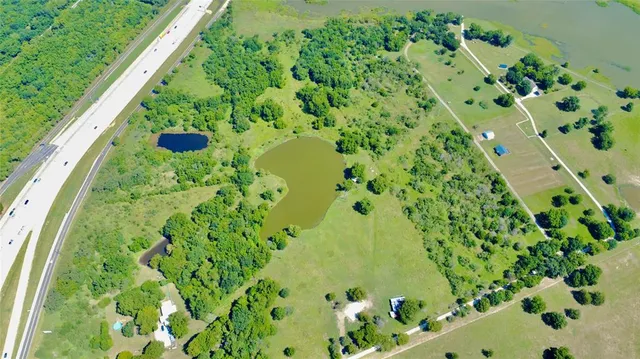 a view of a plant with a plant