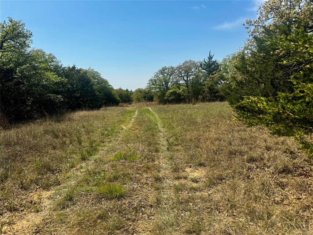 Tbd Tbd Lake Valley Road Sunset, TX 76270 - Photo 2 of 3