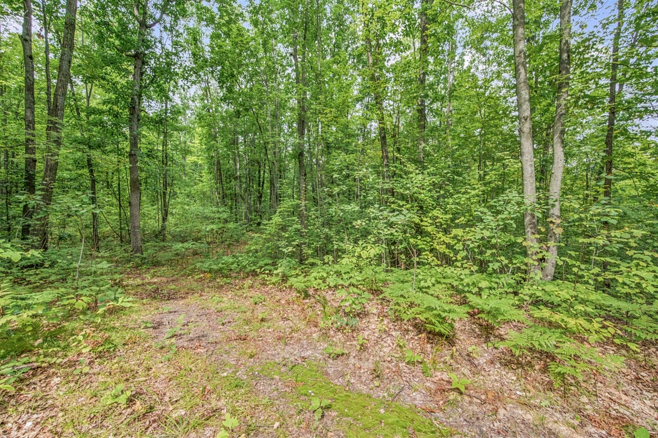5 8 Mile Road Remus, MI 49340 - Photo 10 of 17 Gallery Image 10