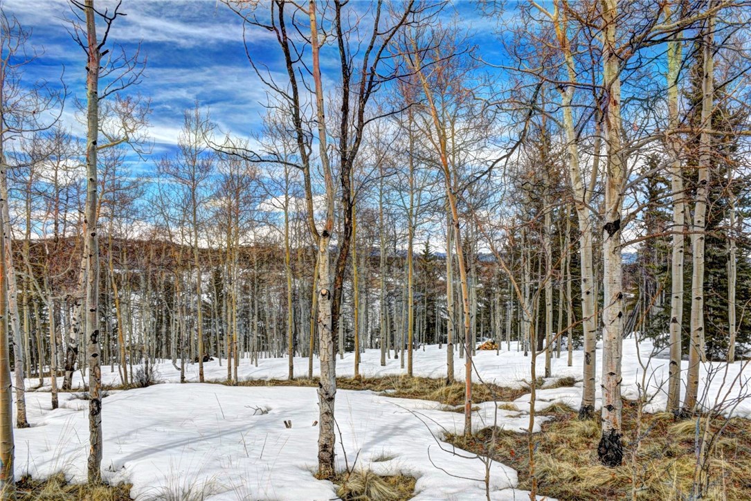 99 Mallard Road Como, CO 80432 - Photo 31 of 34 Gallery Image 31