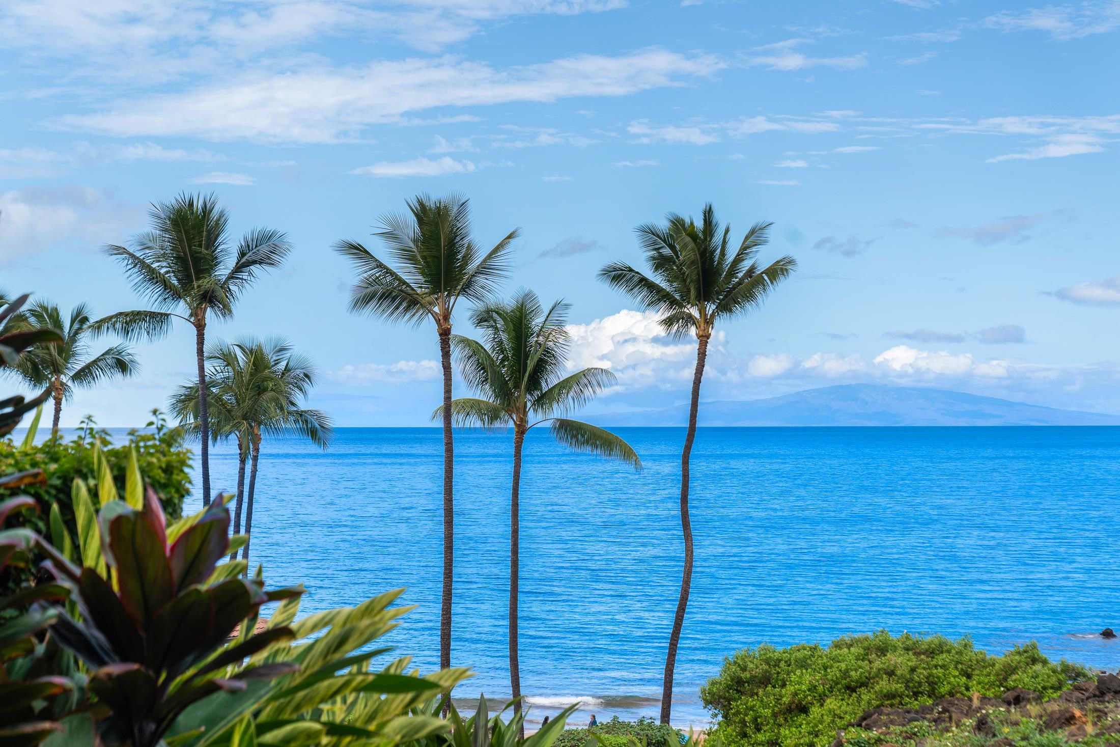 4850 Makena Alanui Road, Unit C106 Kihei, HI 96753 - Photo 11 of 49 a view of a house with a palm tree