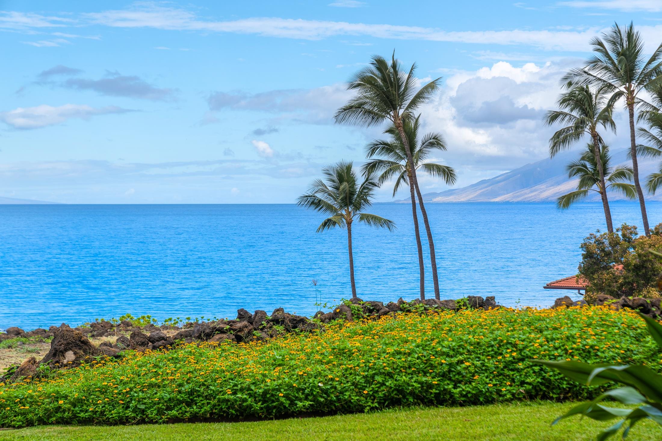 4850 Makena Alanui Road, Unit C106 Kihei, HI 96753 - Photo 2 of 49 a view of a garden
