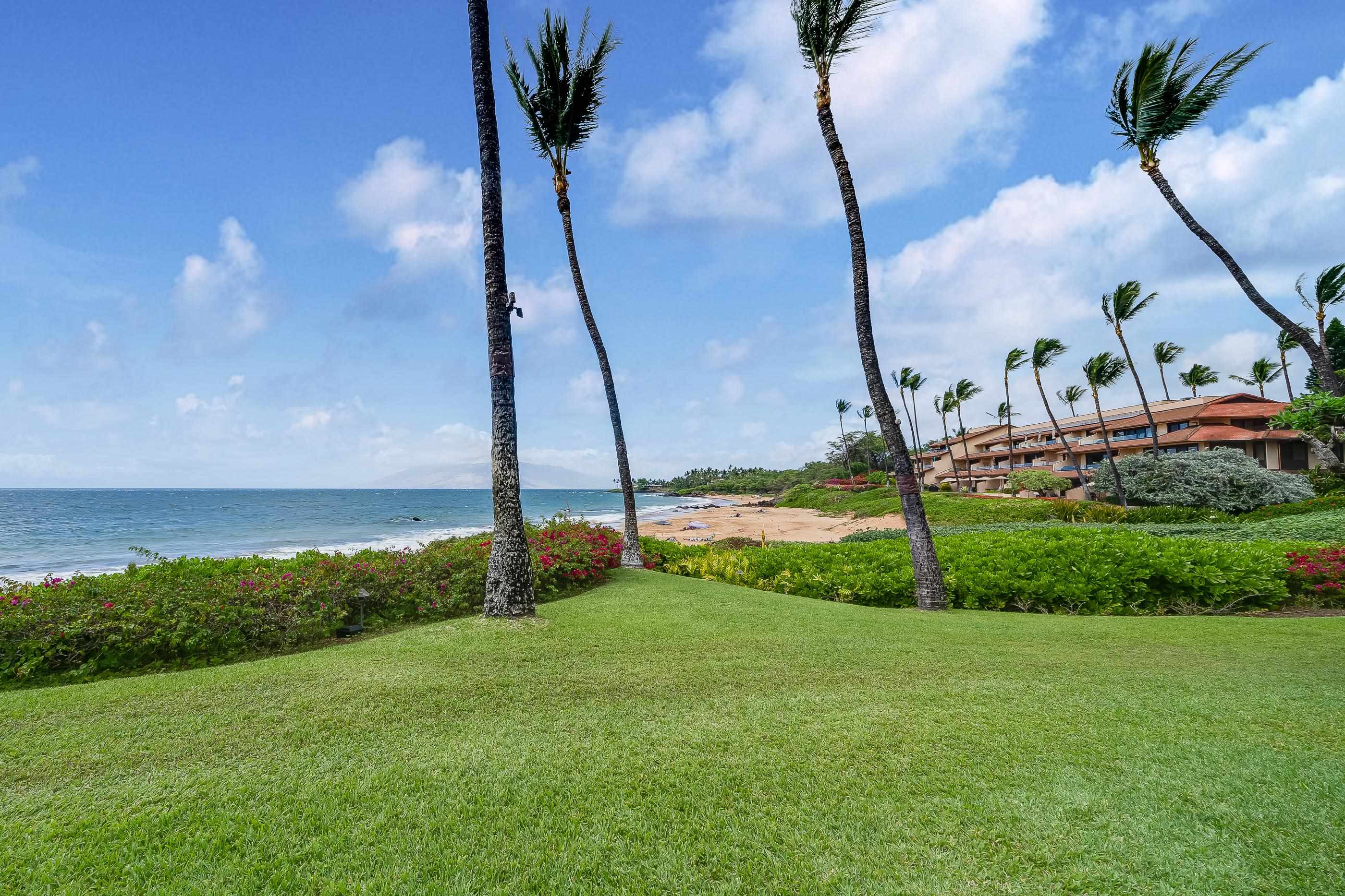 4850 Makena Alanui Road, Unit C106 Kihei, HI 96753 - Photo 29 of 49 a view of a garden in the backyard