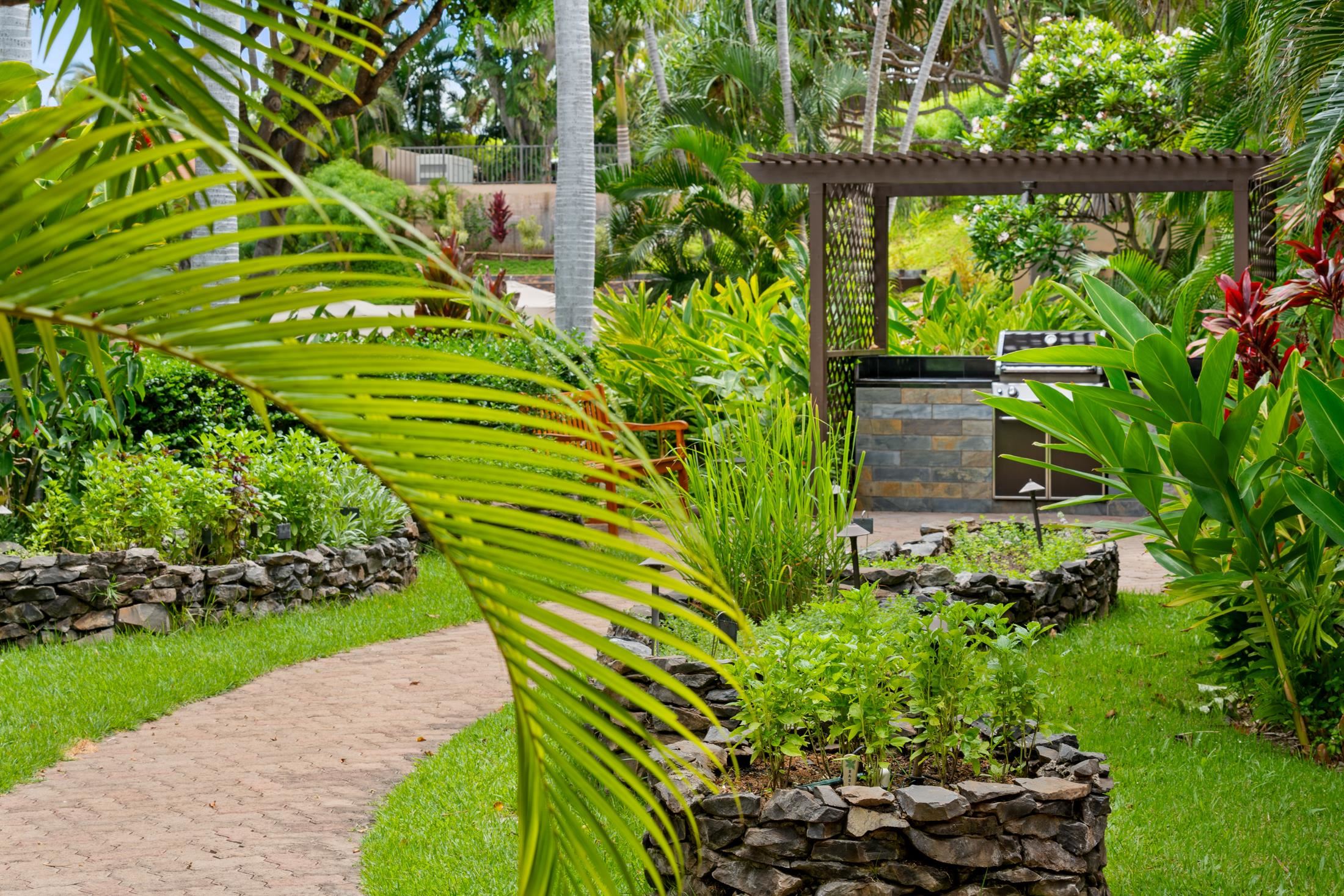 4850 Makena Alanui Road, Unit C106 Kihei, HI 96753 - Photo 44 of 49 a plant is in a garden