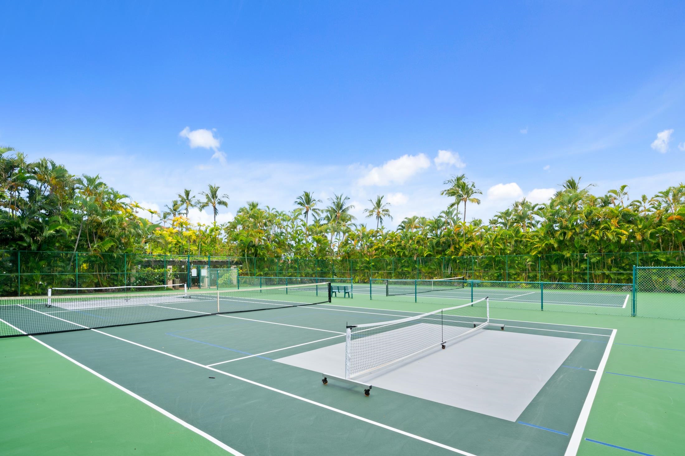 4850 Makena Alanui Road, Unit C106 Kihei, HI 96753 - Photo 46 of 49 a view of a tennis court