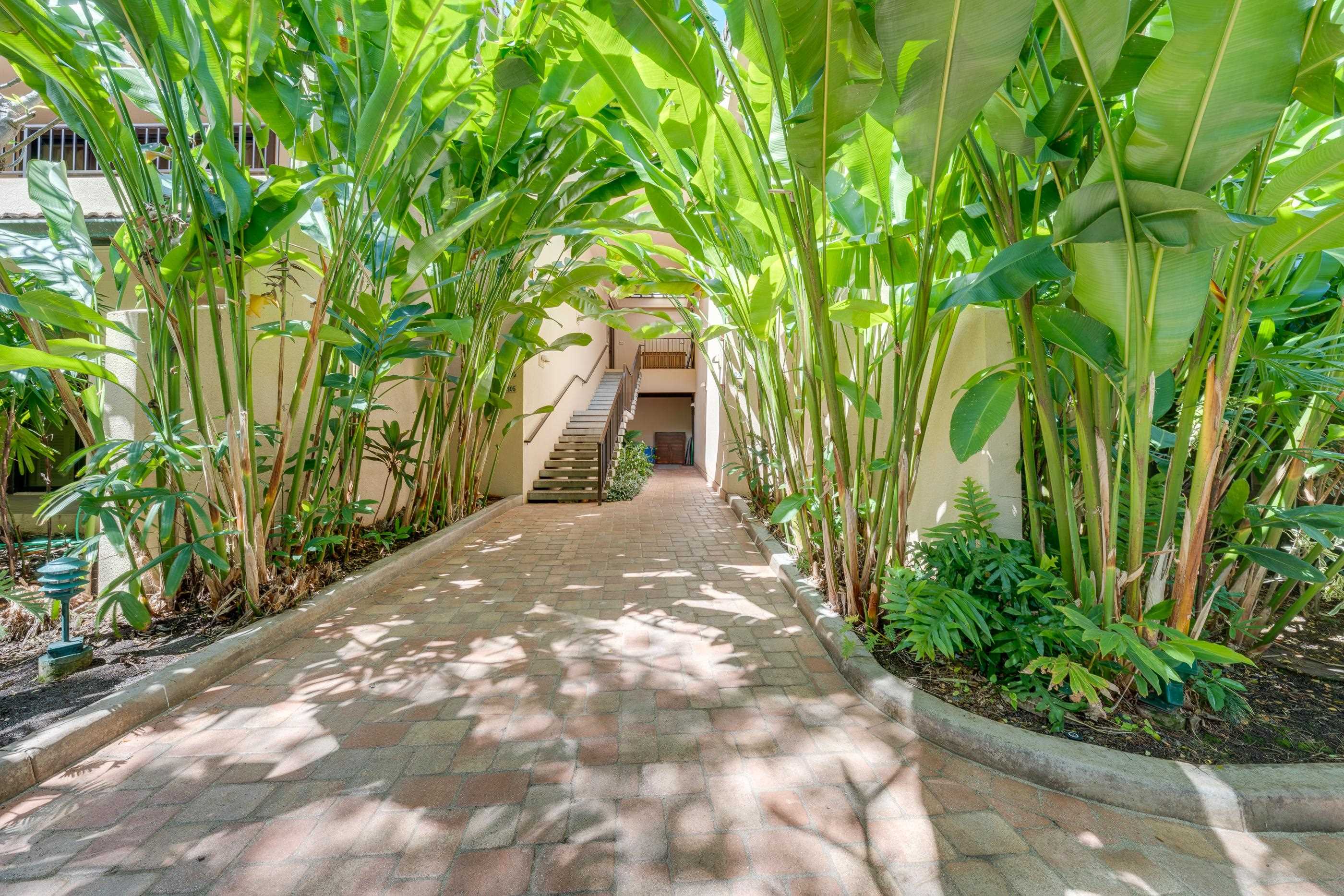 4850 Makena Alanui Road, Unit C106 Kihei, HI 96753 - Photo 49 of 49 a view of a yard with plants and large trees