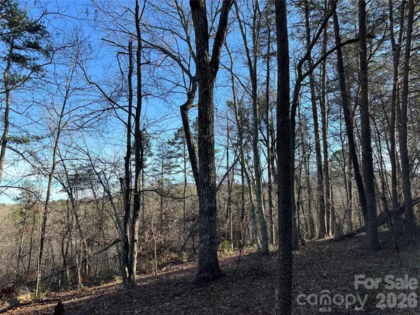 $28,000 | 0 Hawkins Lane, Unit 8, Mill Spring, NC 28756