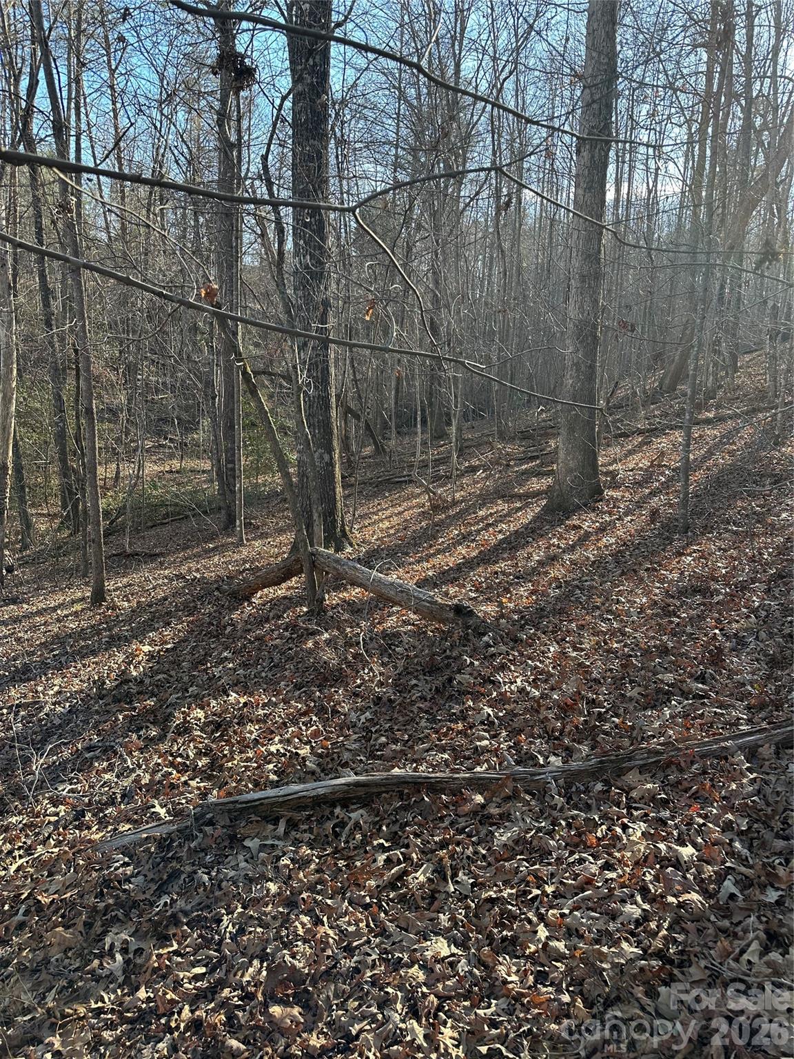 0 Hawkins Lane, Unit 8 Mill Spring, NC 28756 - Photo 11 of 14