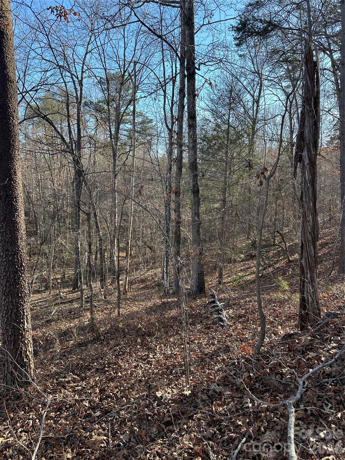 0 Hawkins Lane, Unit 8 Mill Spring, NC 28756 - Photo 12 of 14