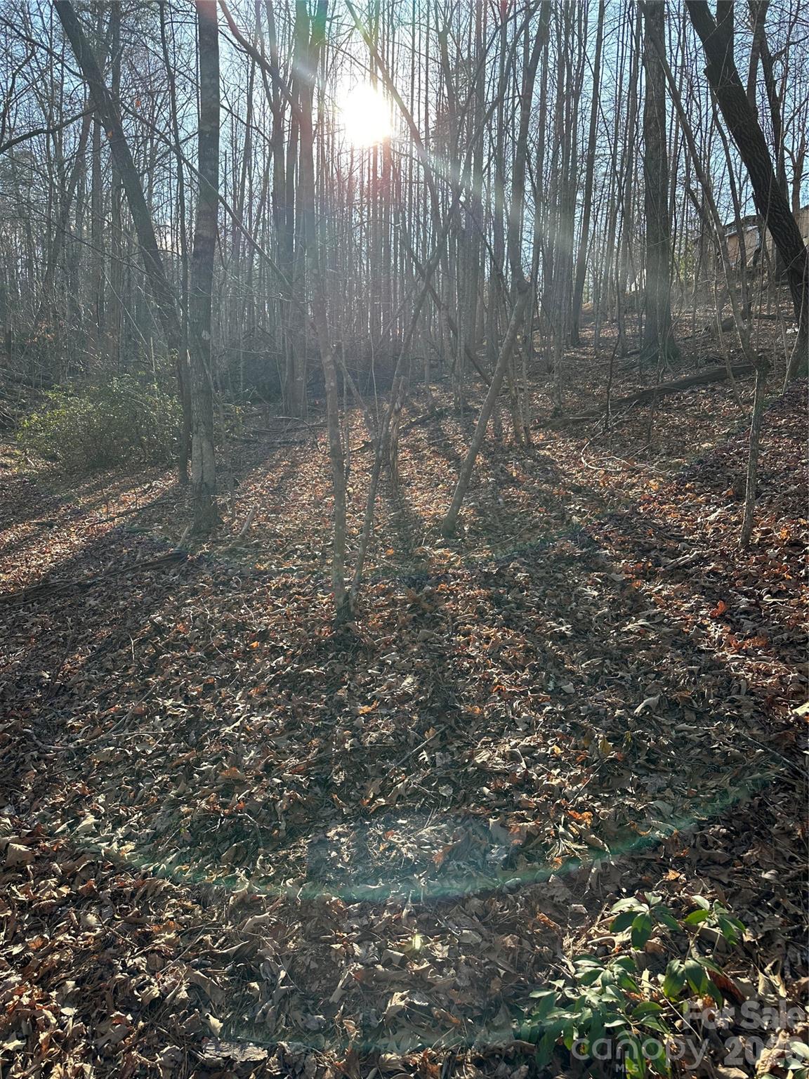 0 Hawkins Lane, Unit 8 Mill Spring, NC 28756 - Photo 13 of 14