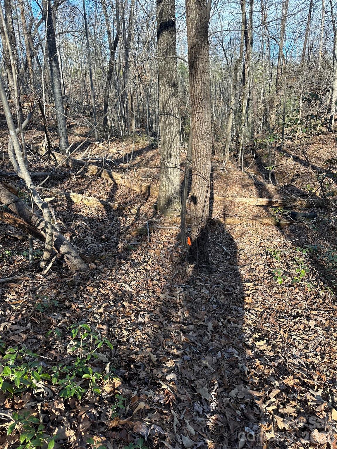 0 Hawkins Lane, Unit 8 Mill Spring, NC 28756 - Photo 14 of 14