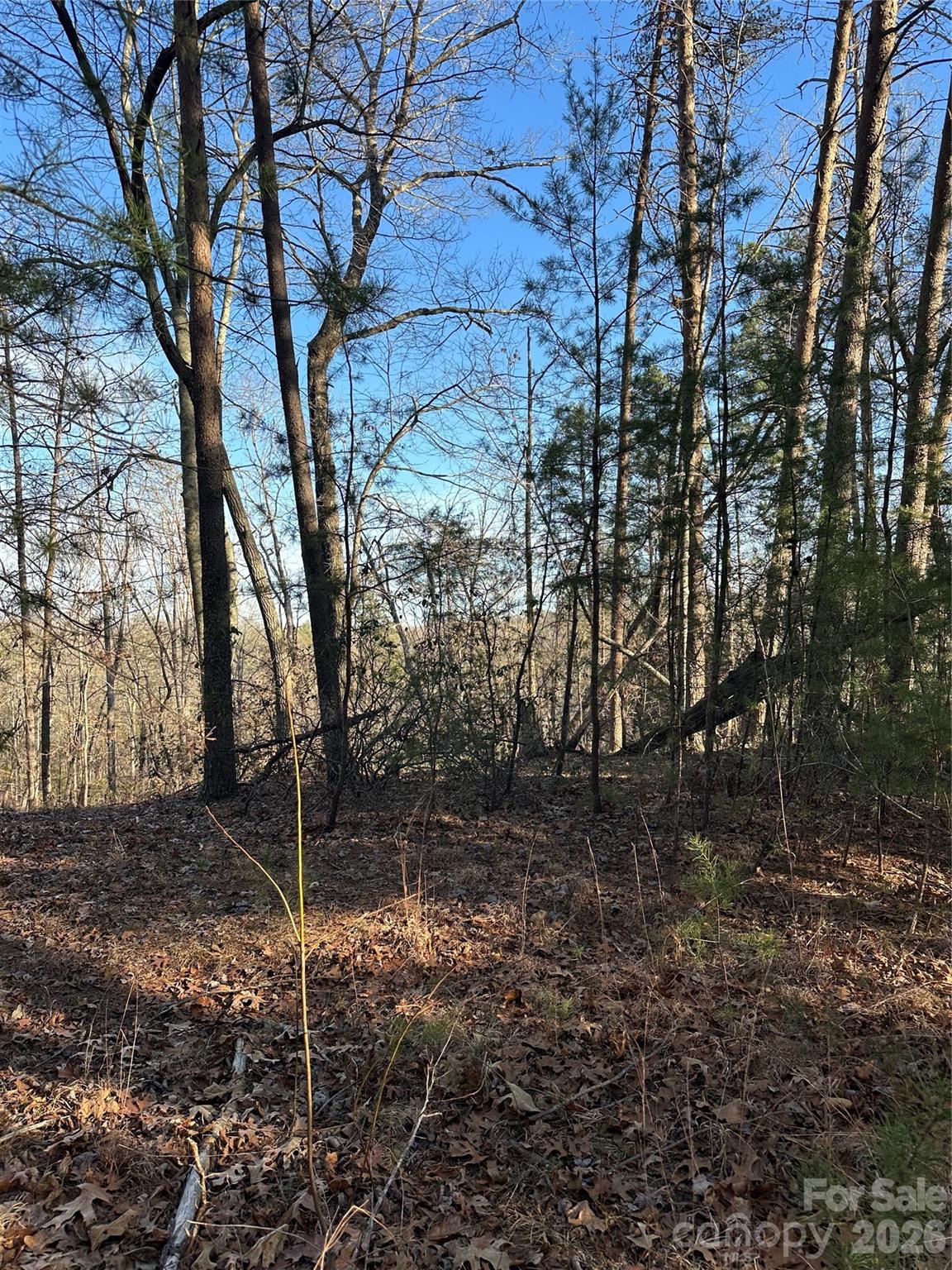 0 Hawkins Lane, Unit 8 Mill Spring, NC 28756 - Photo 3 of 14