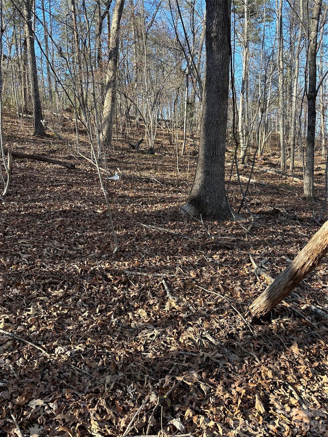 0 Hawkins Lane, Unit 8 Mill Spring, NC 28756 - Photo 4 of 14