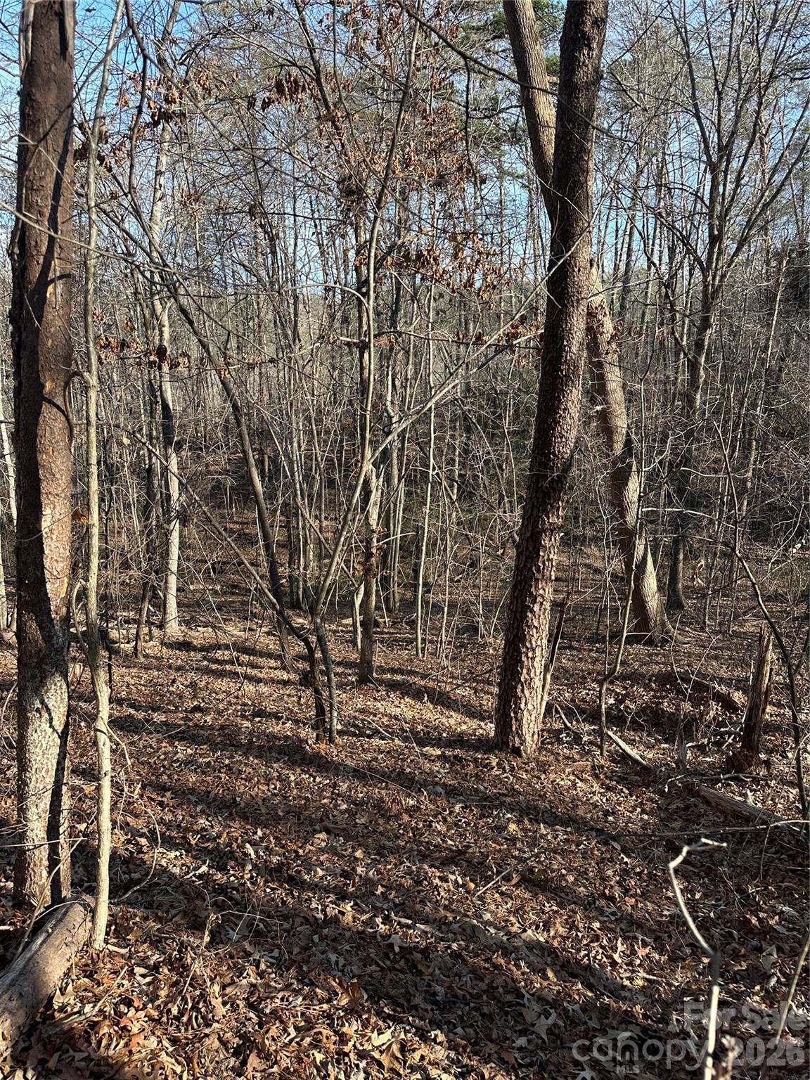 0 Hawkins Lane, Unit 8 Mill Spring, NC 28756 - Photo 5 of 14